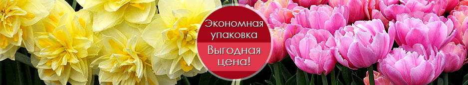 Акция Садовый Мир