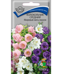 Колокольчик махровый Смесь окрасок Колокольчик махровый Смесь окрасок