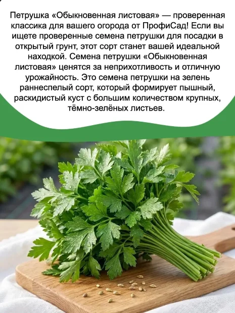 Петрушка Обыкновенная листовая семена 
