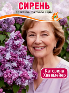Сирень Катерина Хавемейер (обыкновенная)