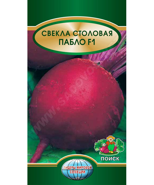 Свекла Пабло F1 семена 