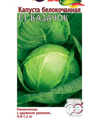 Капуста Казачок F1 (белокочанная) Капуста Казачок F1 (белокочанная)