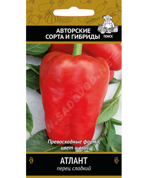 Перец сладкий Атлант семена 